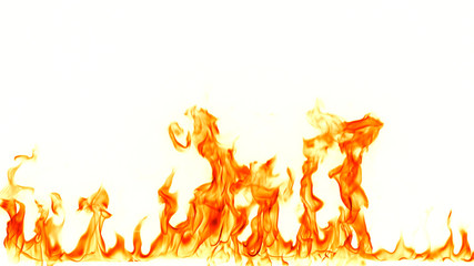 Fire flames isolated on white background.