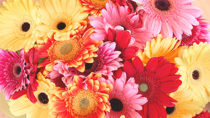 Big bouquet with a lot of  red, pink and yellow gerberas with beautiful modern toning, photo 16:9.