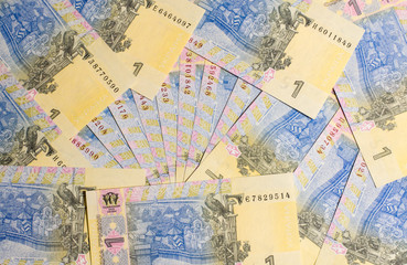 Ukrainian money. One hryvnia paper bill. Cash. Background texture.
