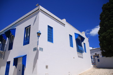 Fototapeta na wymiar maison typique de Sidi Bou Saïd
