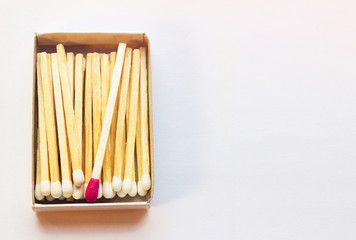 White matches and one match of crimson color in a box. Self respect and yourself acceptance concept. Copyspace on the right side of the image for designers. Uniqueness and black sheep concept.