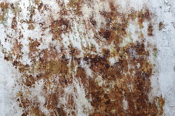 Weathered Corrugated Rusty Metal Texture