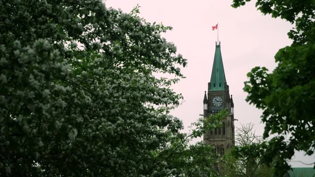 Peace Tower on Canada's Parliament Buildings seen from Major's Hill Park