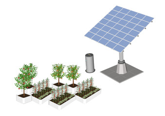 solar panels and wind turbine