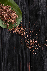 coriander seeds scattered on the table, space for text