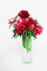 Cute and lovely peony. many layered petals. Bunch pale pink peonies flowers light white background. Wallpaper .