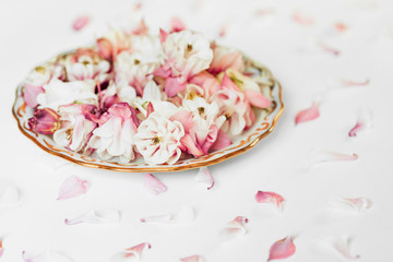 Flower plates composition. Flat lay top. Surrounded by petals in the background.