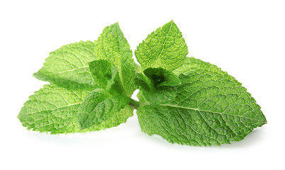 Green mint leaves on white background