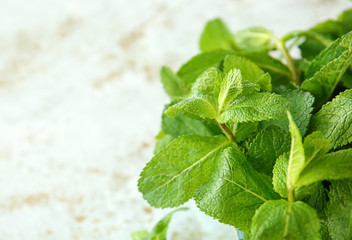Fresh green mint on light background, closeup