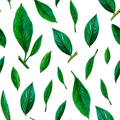 Seamless pattern of green leaves. citrus green leaves pattern on white background. Summer and juice background. painted watercolor illustration of fresh green leaves.