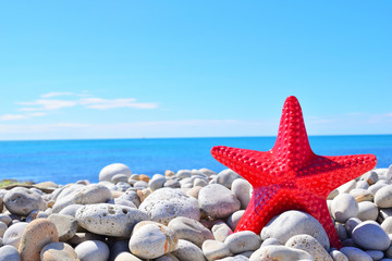 starfish and shells on sand
