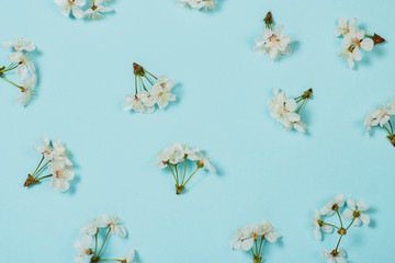 Spring flowers of apple or cherry on a blue background. Concept of the arrival of spring. Pattern. Flat lay, top view