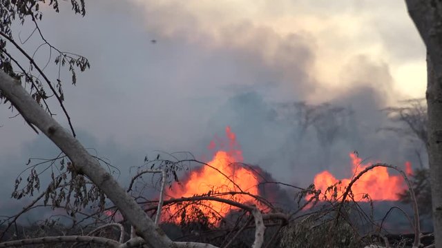 Kilauea Volcano Eruption 2018 - Erupting Fissures Spew Lava