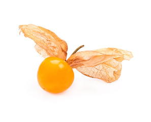 Cape gooseberry, physalis isolated on white background