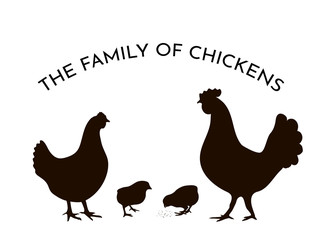 Vector illustration. Set of silhouettes. The family of chickens