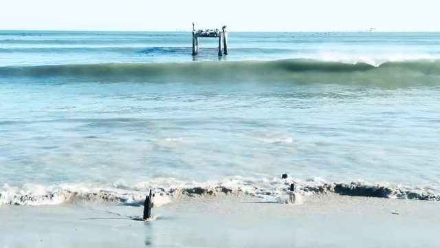 Waves roll in past a broken jetty as behind it birds migrate north.