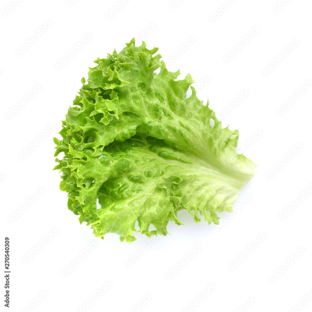 Wall mural Salad leaf. Lettuce isolated on white background