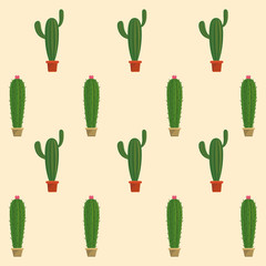 Cactus succulent plants pots background