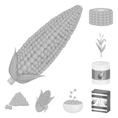 Vector illustration of agriculture and nutrition logo. Collection of agriculture and vegetable vector icon for stock.