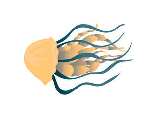 Yellow jellyfish with thick tentacles close-up. Vector illustration on white background. © Happypictures