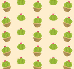 Cactus succulent plants pots background