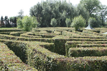 Maze