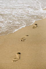 Footprints on the sandy beach by the sea