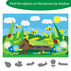 Find the objects by shadow, game with insects for children in cartoon style, education game for kids, preschool worksheet activity, task for the development of logical thinking, vector illustration