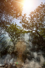 The smoke from the fire in the jungle. The sun in the sky and rays make their way through the trees. Hot tropical climate caused a fire.