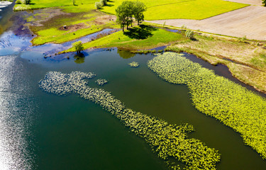 Laghetto con ninfee - vista aerea 