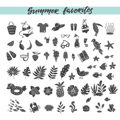 Vector Set of hand drawn summer design elements