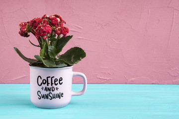 Beautiful floral still life