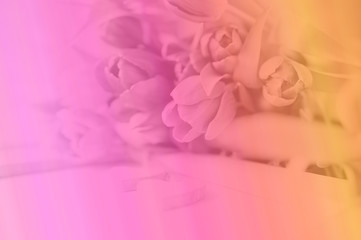 Florales Duo Effekt Motiv als Hintergrund