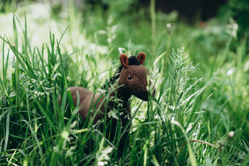 plush toy horse grazing in the grass