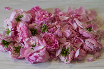 dry tea rose pink flowers on wooden