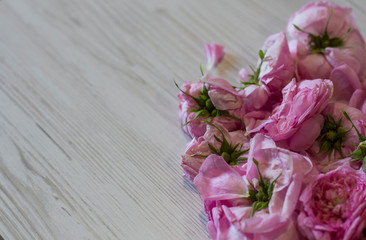 dry tea rose pink flowers on wooden