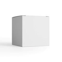 3d white blank product box