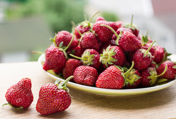 strawberries in plate on urban background