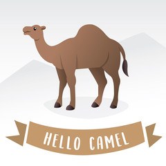 Camel cartoon vector