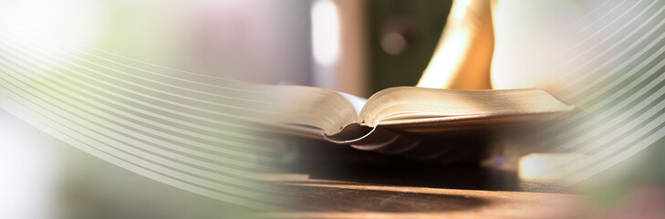 Woman reading a book, hard light; panoramic banner