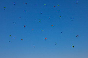 Many small paratroopers in the blue clear sky with multi-colored parachutes during skydiving with extreme flight down. Adrenaline and sports.