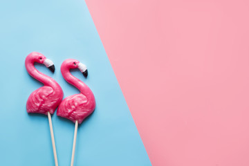 Two flamingo candy lollipop on blue and pink. Top view. 