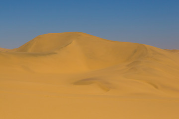 Fototapeta na wymiar tall sand dune in Namib desert, blue sky