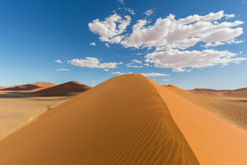 Fototapeta na wymiar on top of sand dune 45 of Namib desert, clouds, blue sky