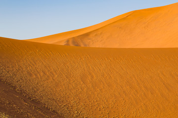 Fototapeta na wymiar structured dunes of Namib desert, blue sky