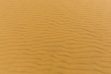 natural structure of sand dune in Namib desert