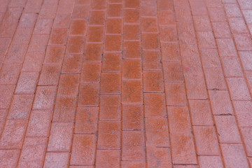brick pavement texture  background surface