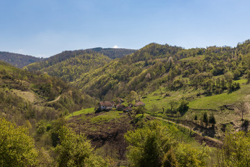 Fototapeta na wymiar Old Household in the mountain in Serbia