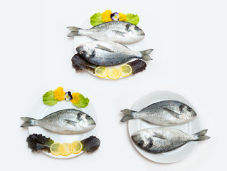 Raw fresh dorado fish with spices and lemon on a white table.