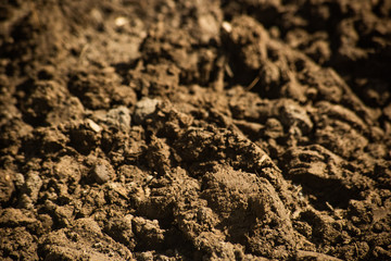 Clods of brown ground, soft focus